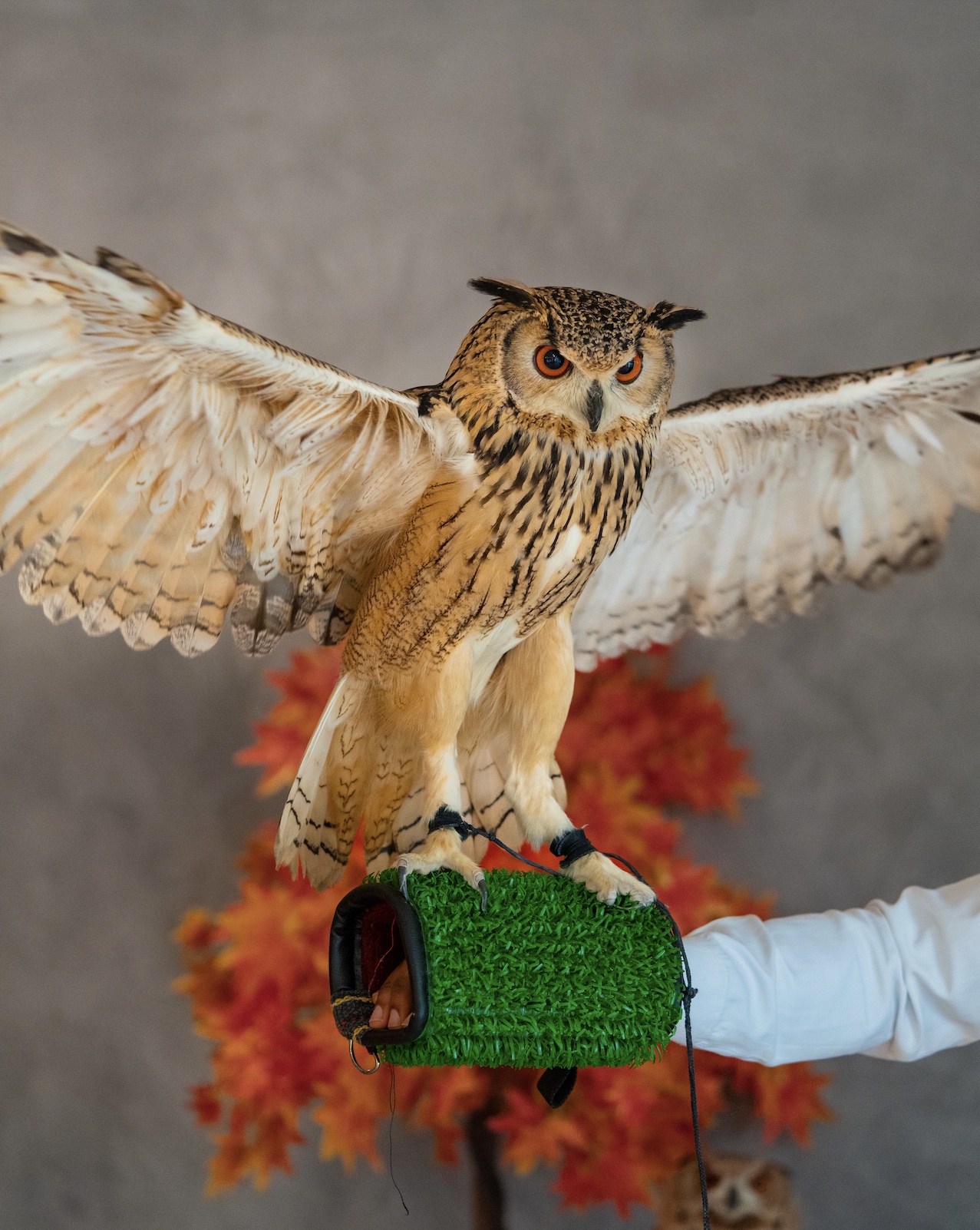 recommendation image