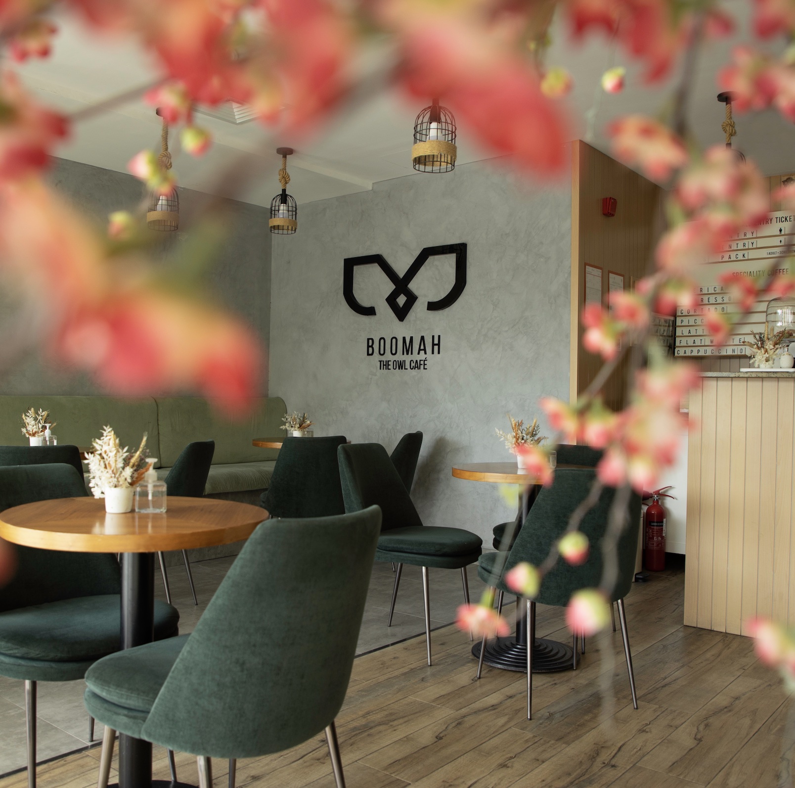 recommendation image