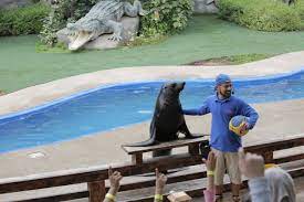 recommendation image