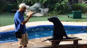 recommendation image