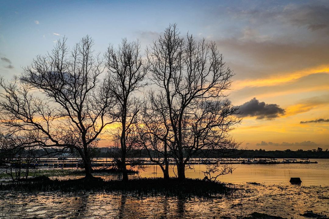 Seletar Fishing Village
