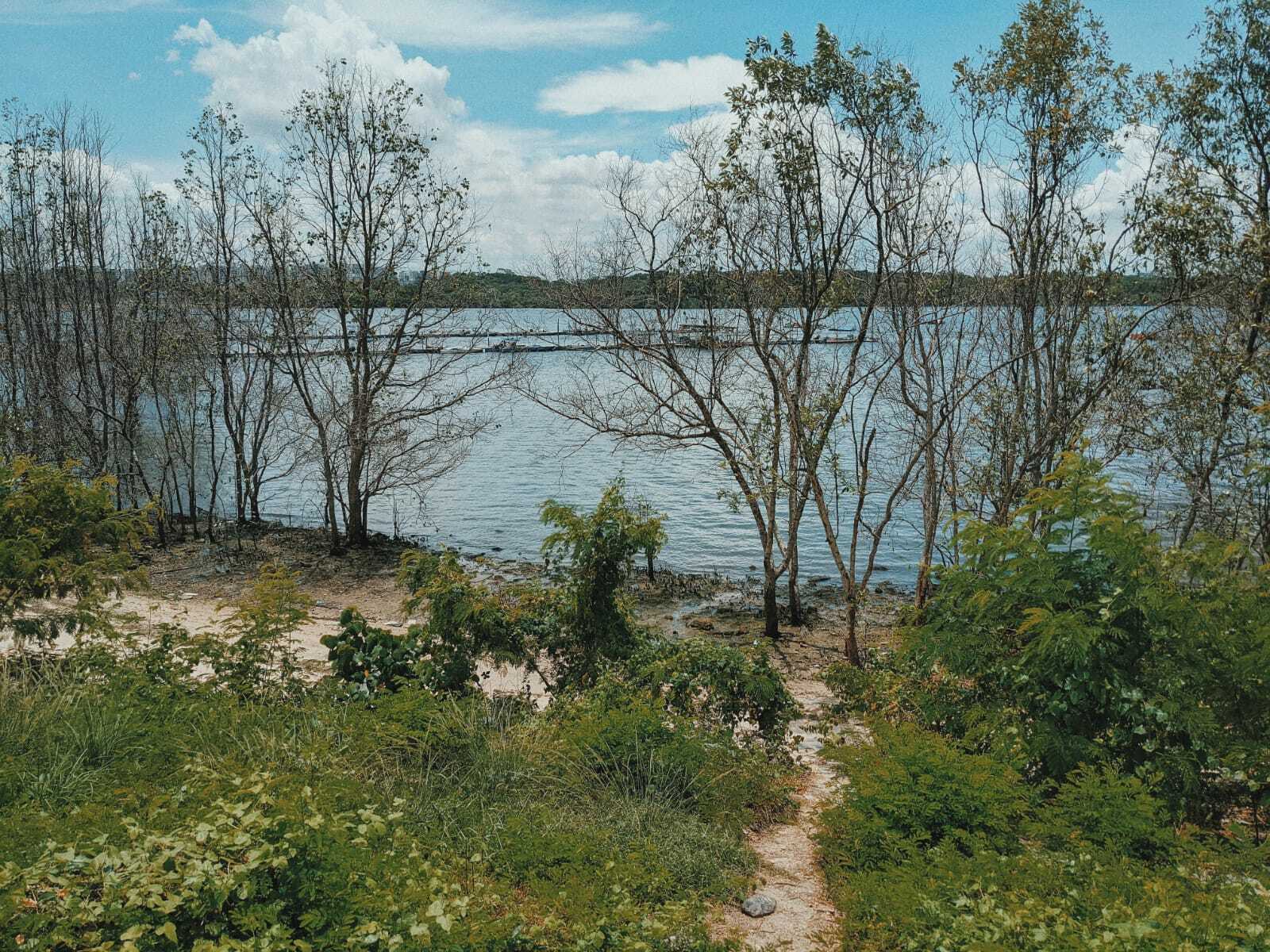 recommendation image