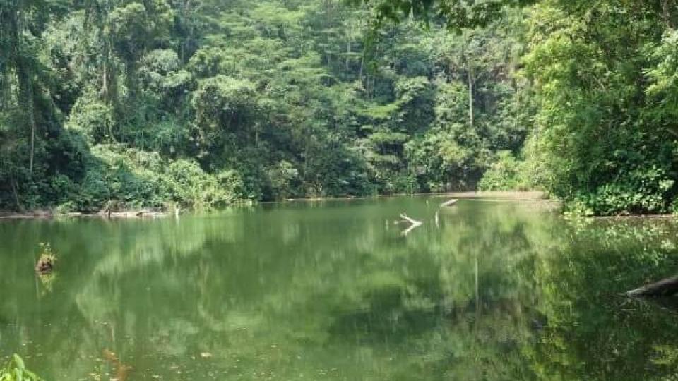 recommendation image