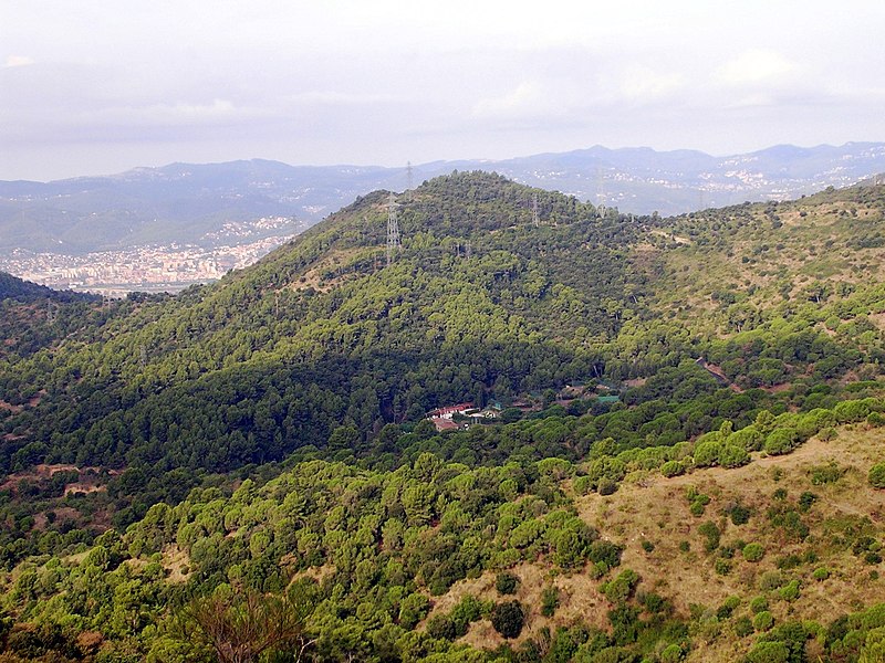 Serra de Collserola Natural Park