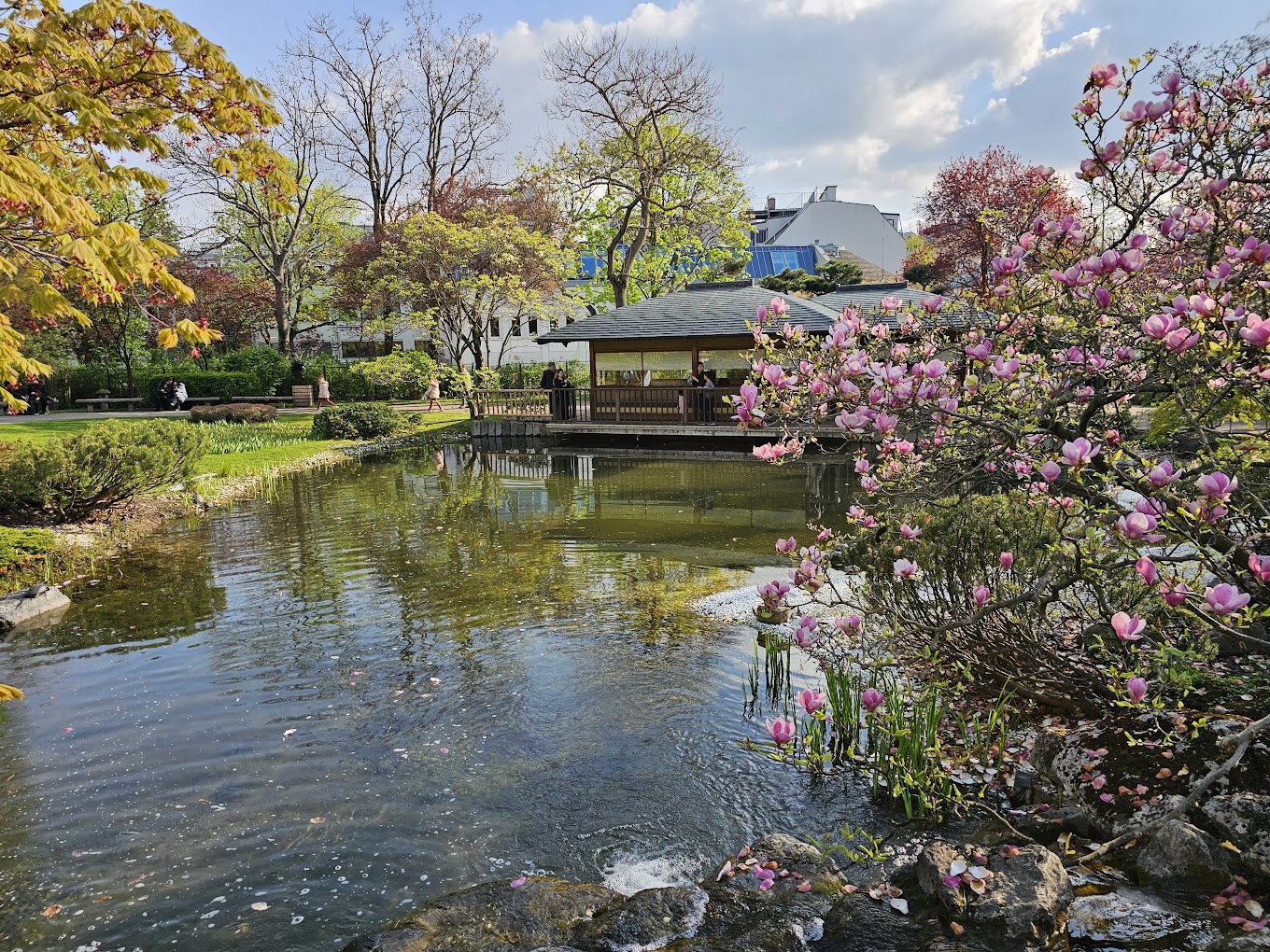 recommendation image