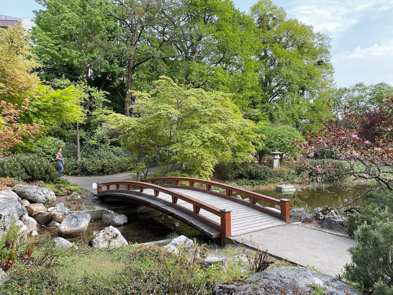 recommendation image