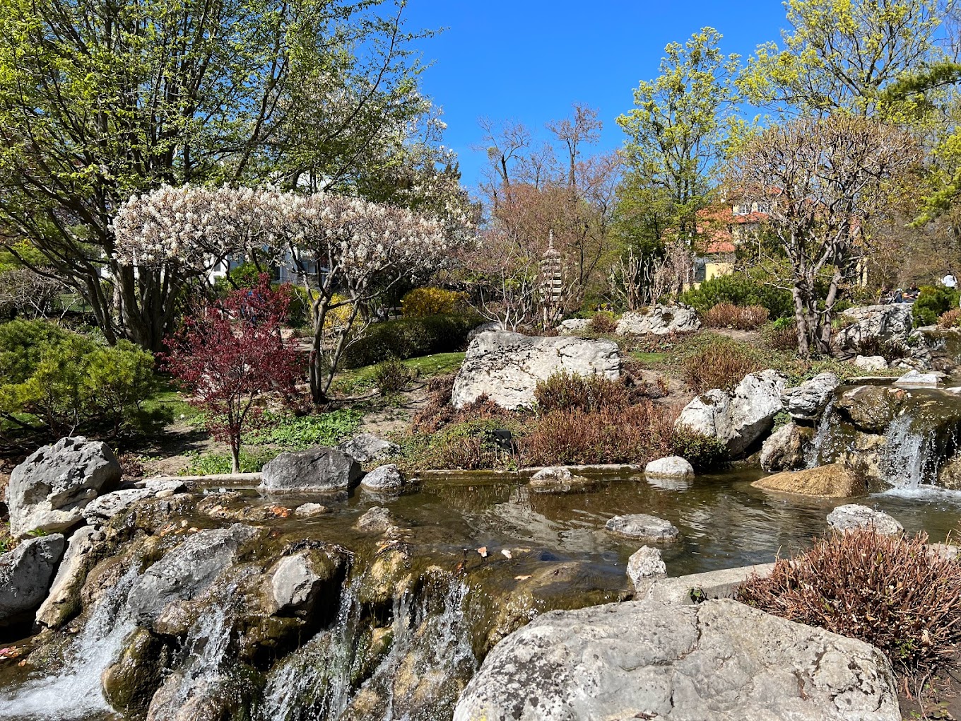 recommendation image