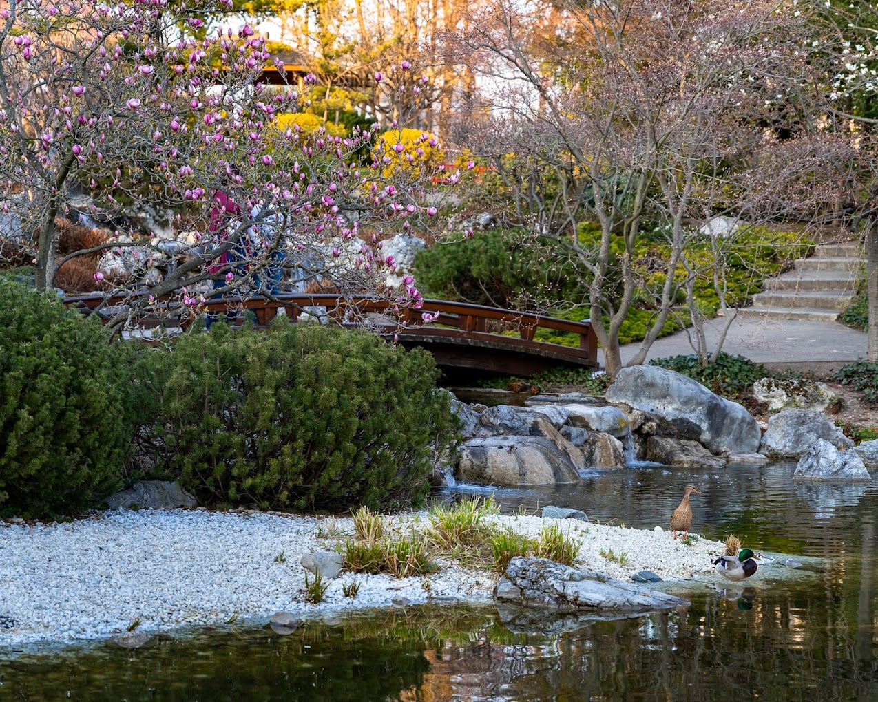 recommendation image