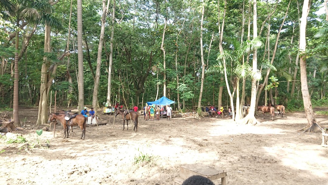 St Ann's Bay Horse Back Riding Association