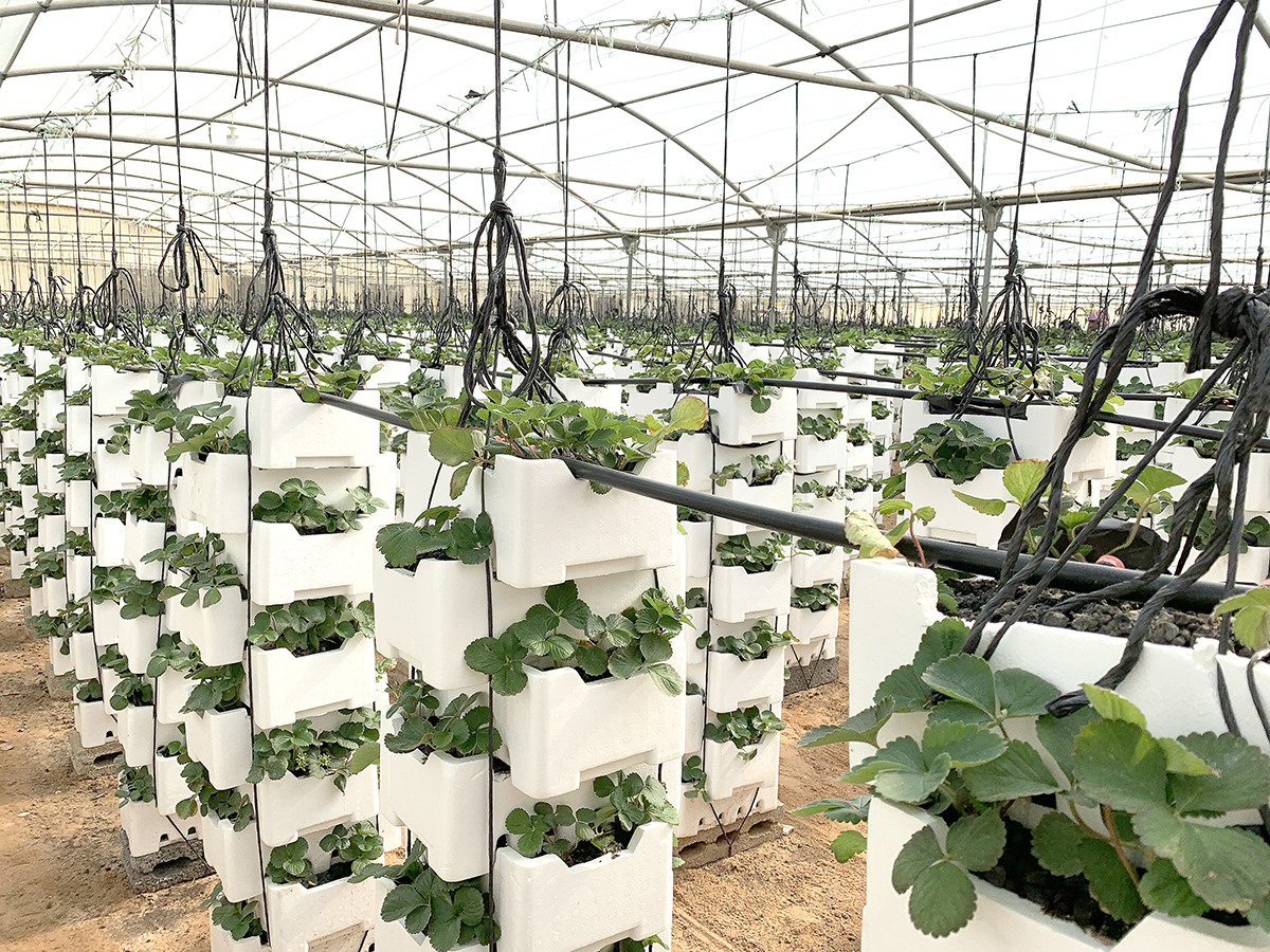 recommendation image