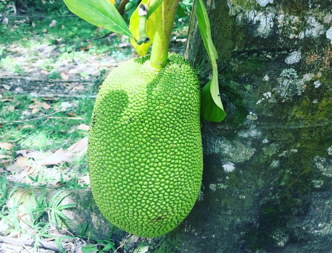 recommendation image