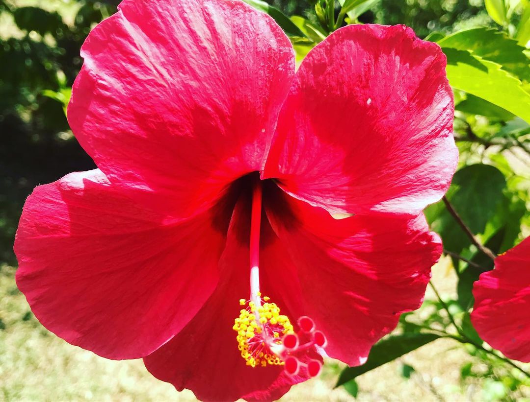 recommendation image