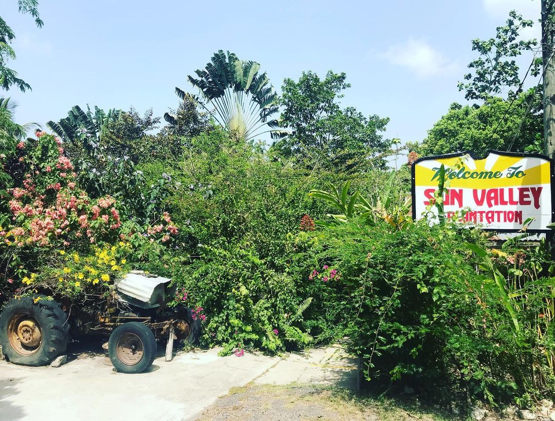 recommendation image