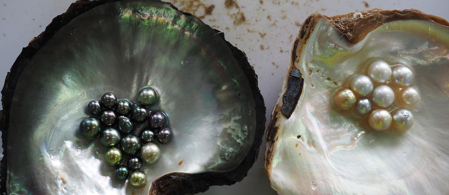 recommendation image