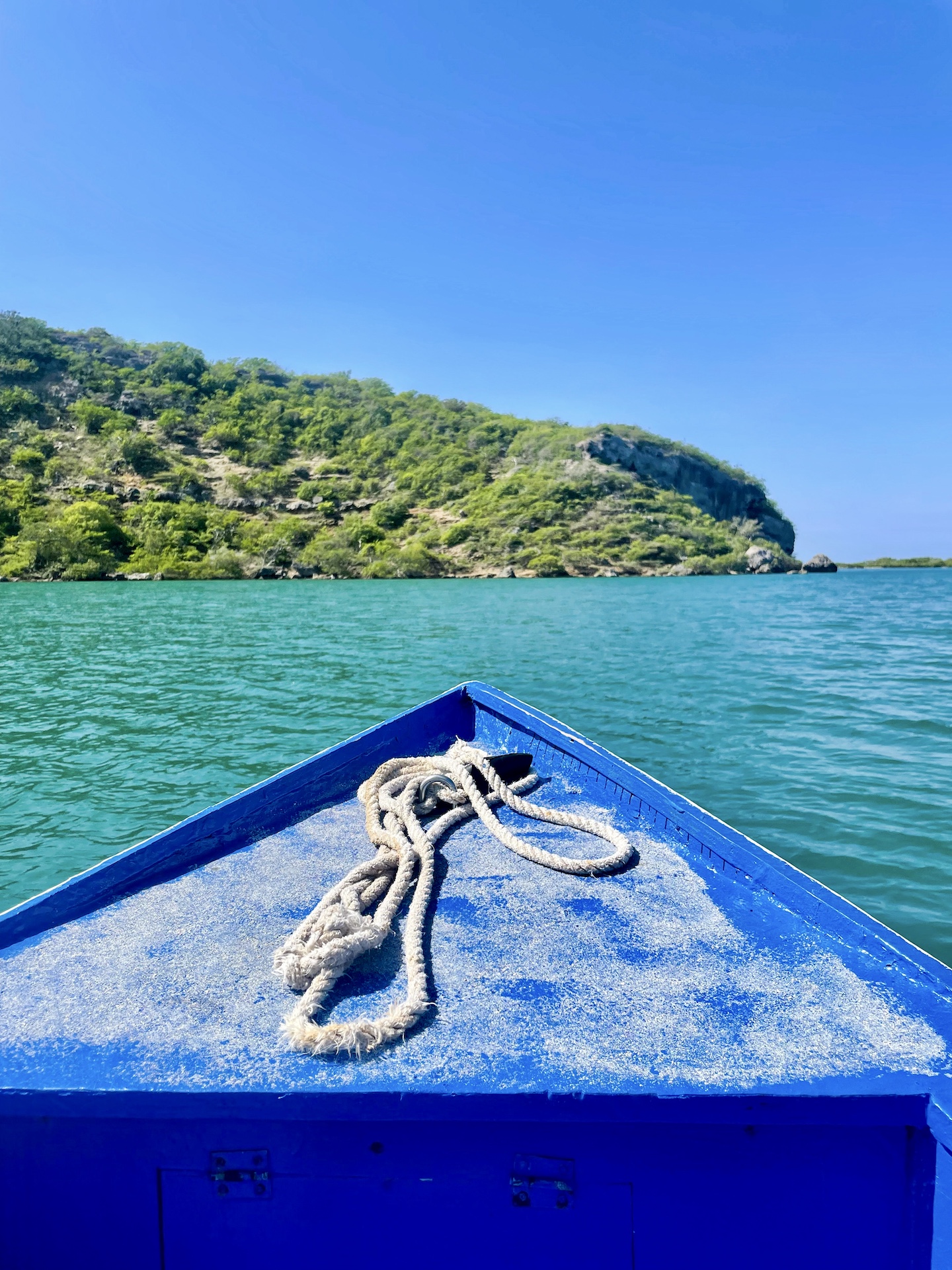 Take Bryson for a Ride