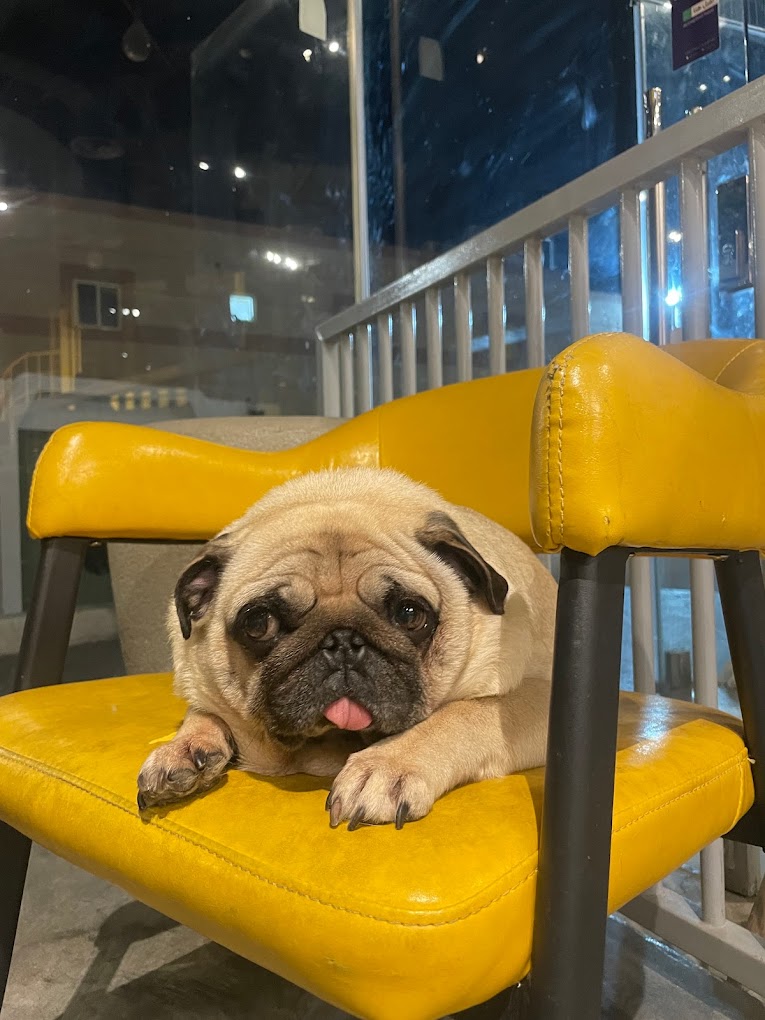 recommendation image