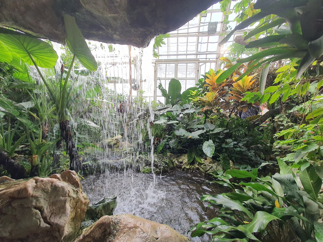 The Butterfly House (Schmetterlinghaus)