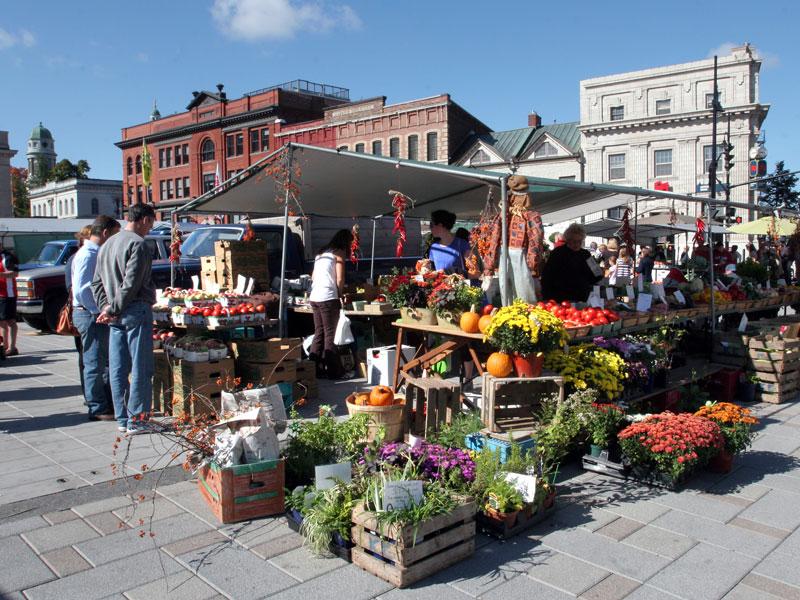 recommendation image