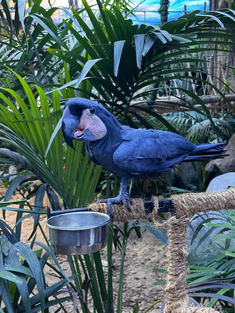 recommendation image