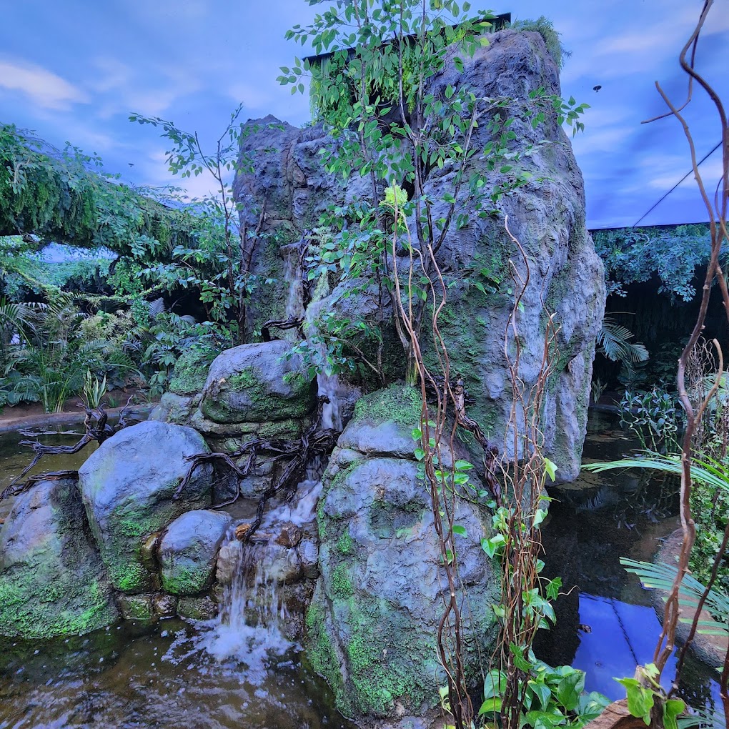 recommendation image