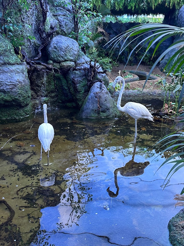 recommendation image