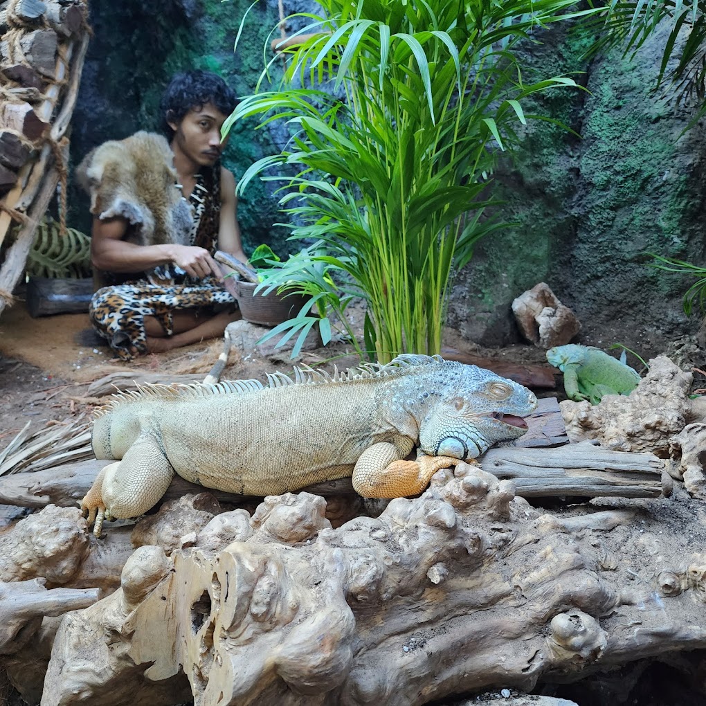 recommendation image