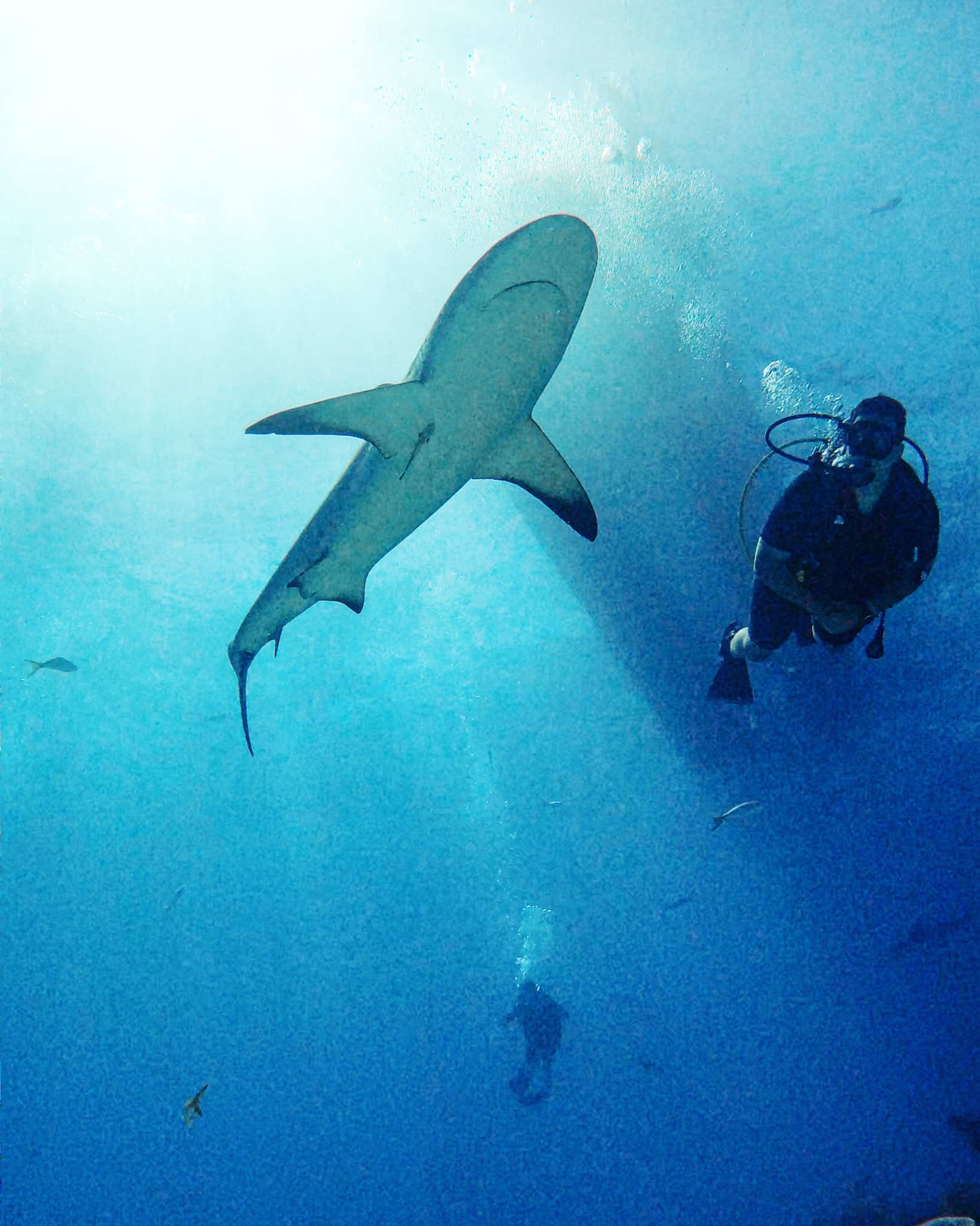 recommendation image