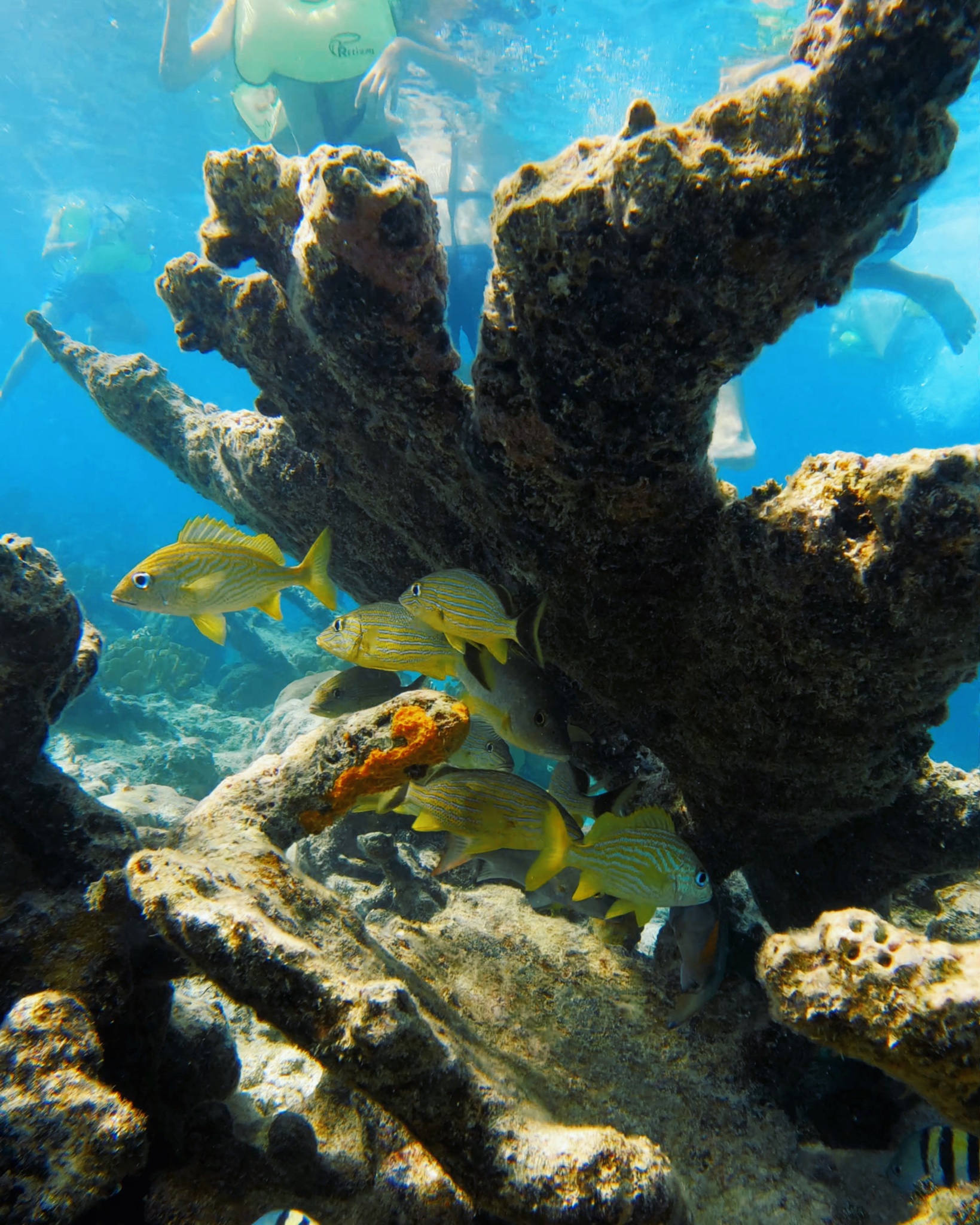 recommendation image