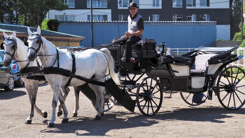 recommendation image