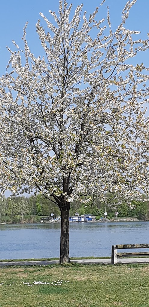 recommendation image