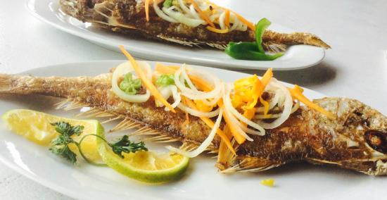 recommendation image