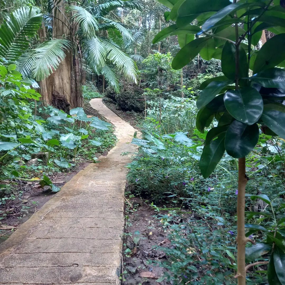 Welchman Hally Gully