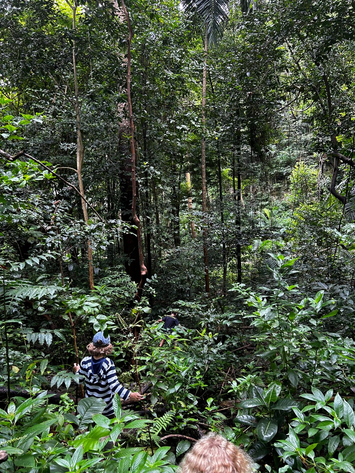 recommendation image