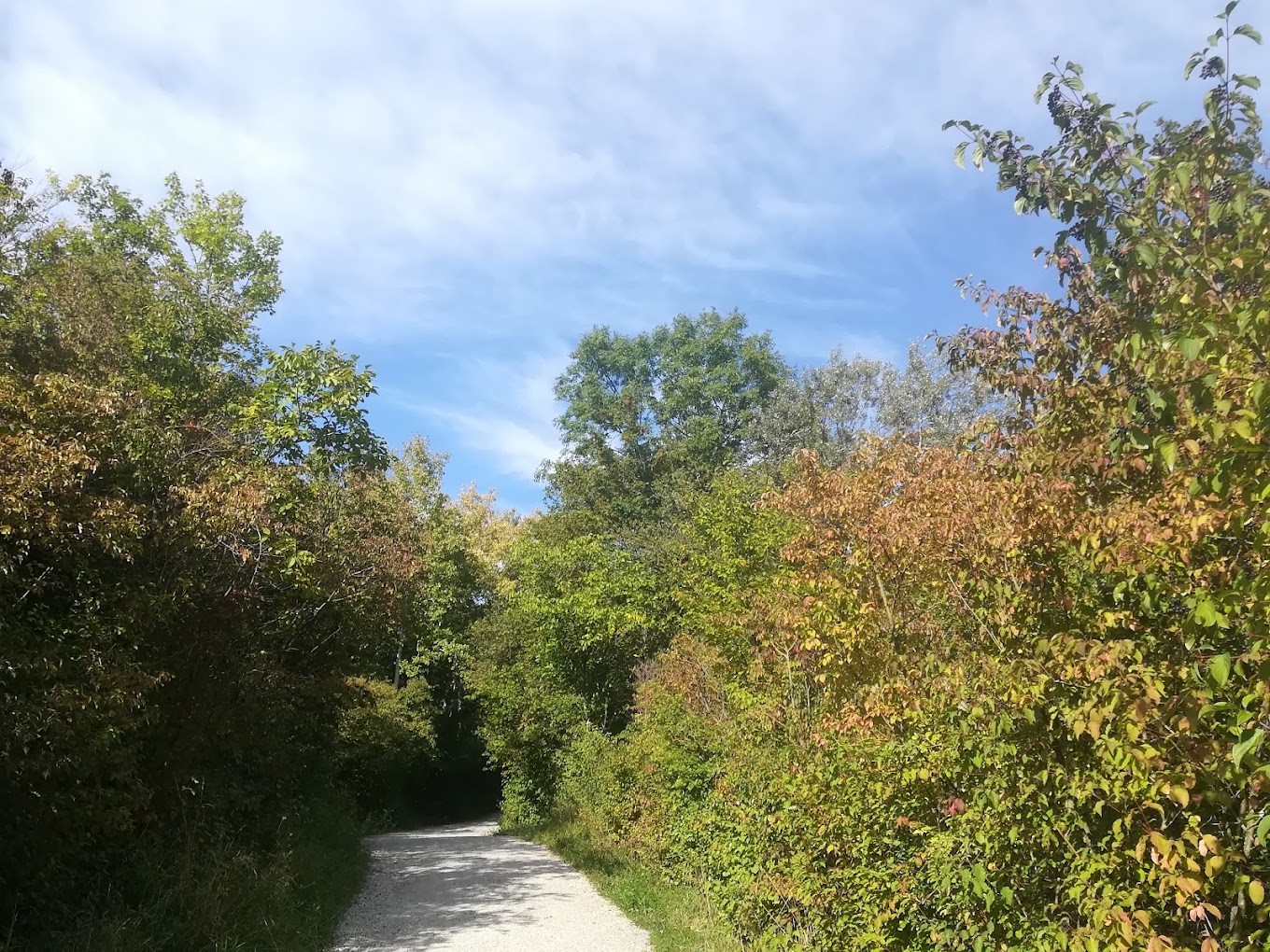 recommendation image