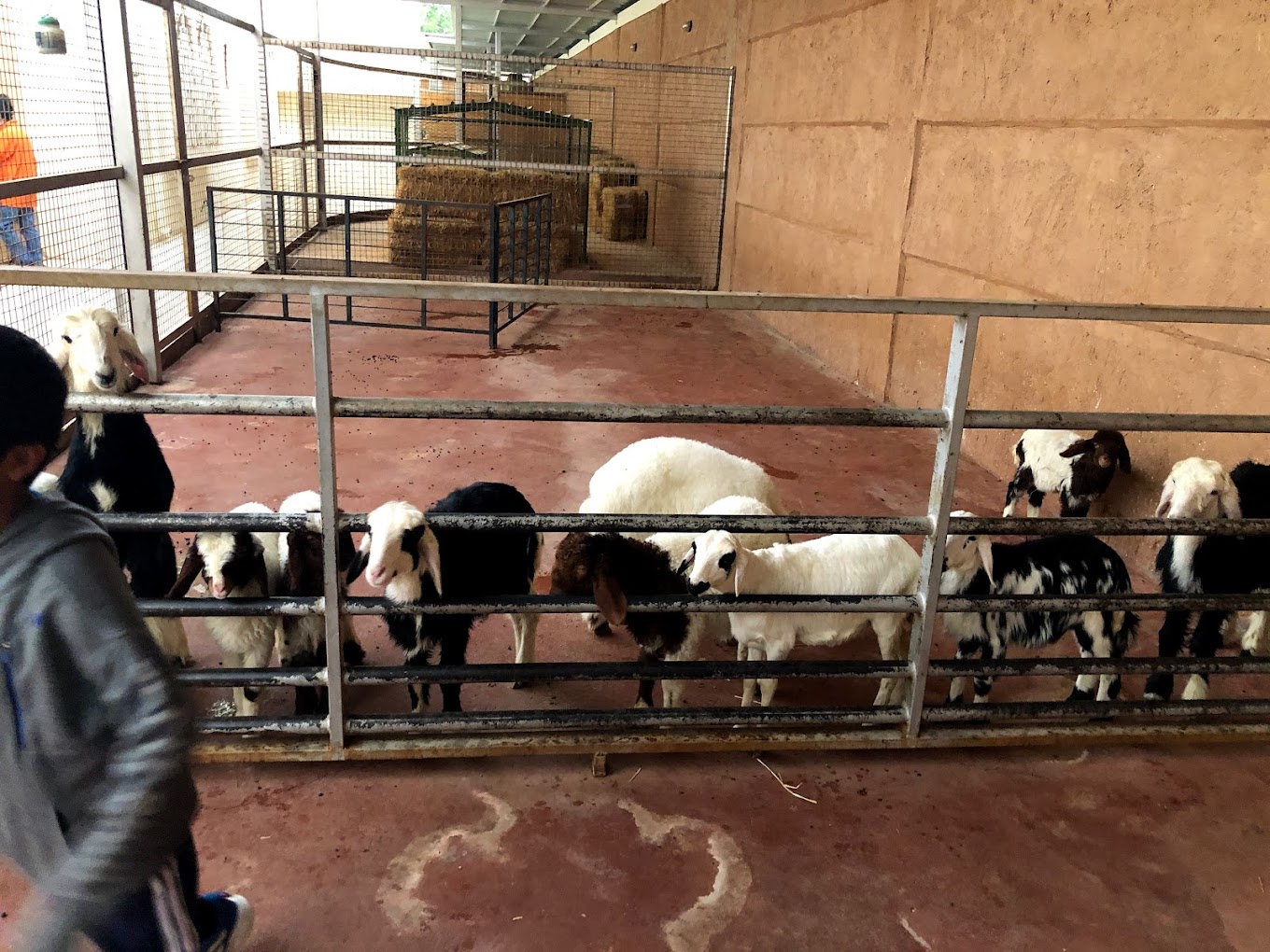 recommendation image