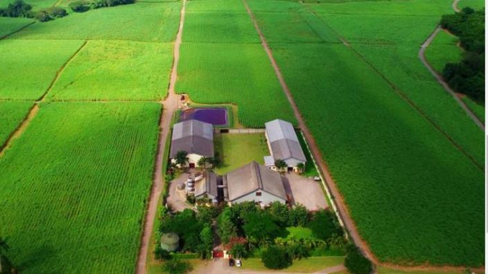 recommendation image