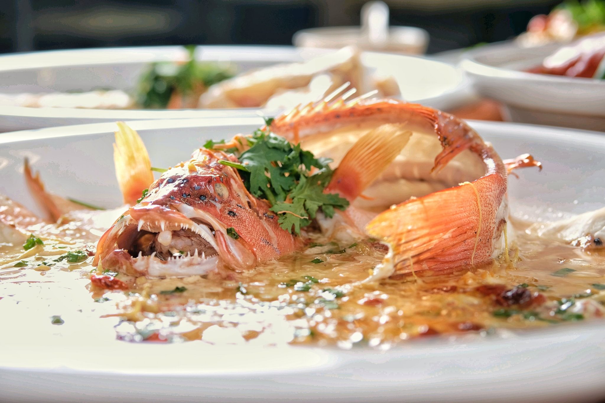 recommendation image