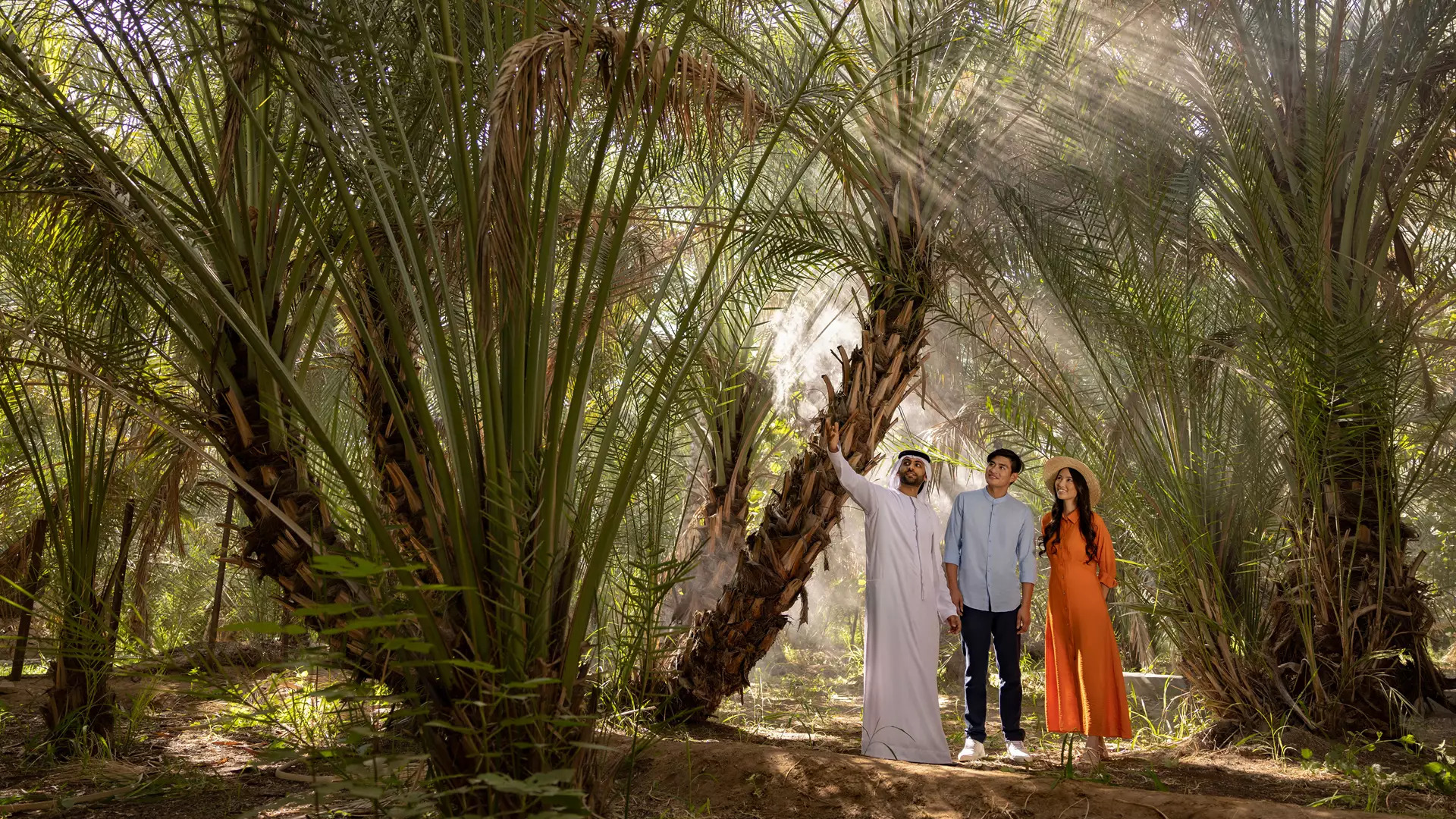 recommendation image