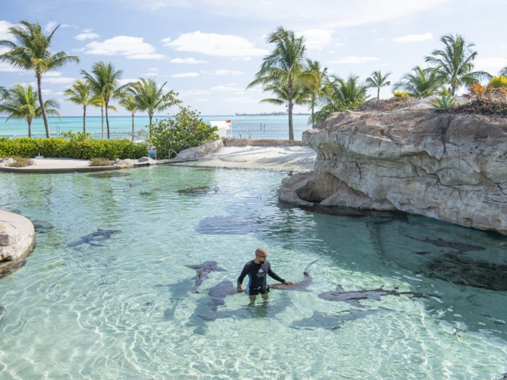 recommendation image