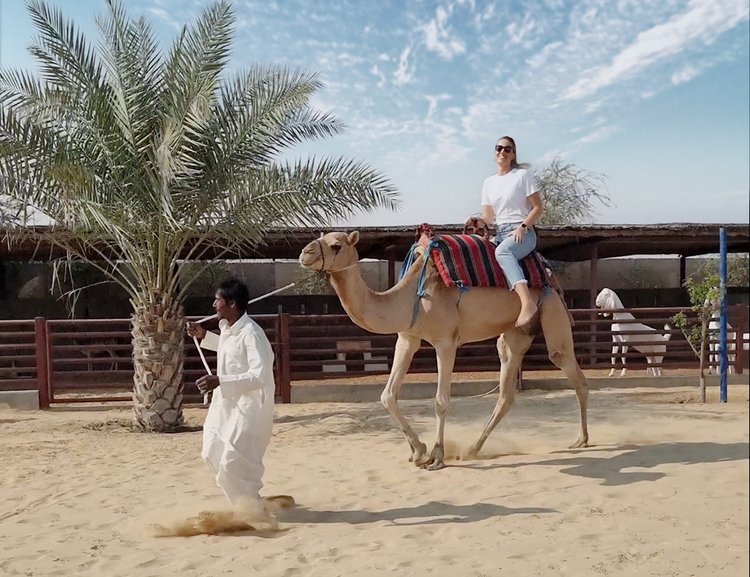 recommendation image