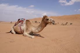 recommendation image