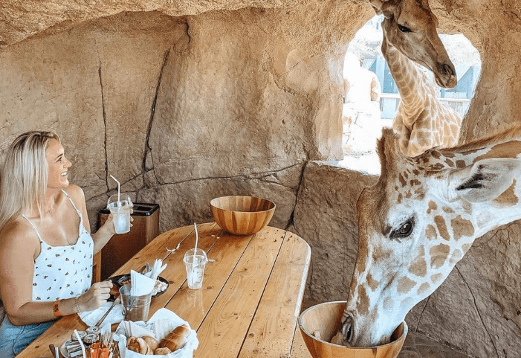 recommendation image