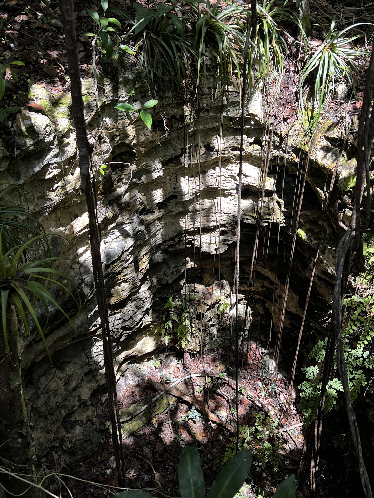 recommendation image