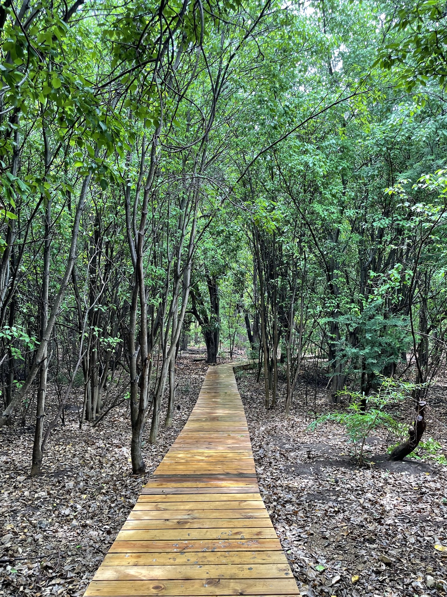 recommendation image