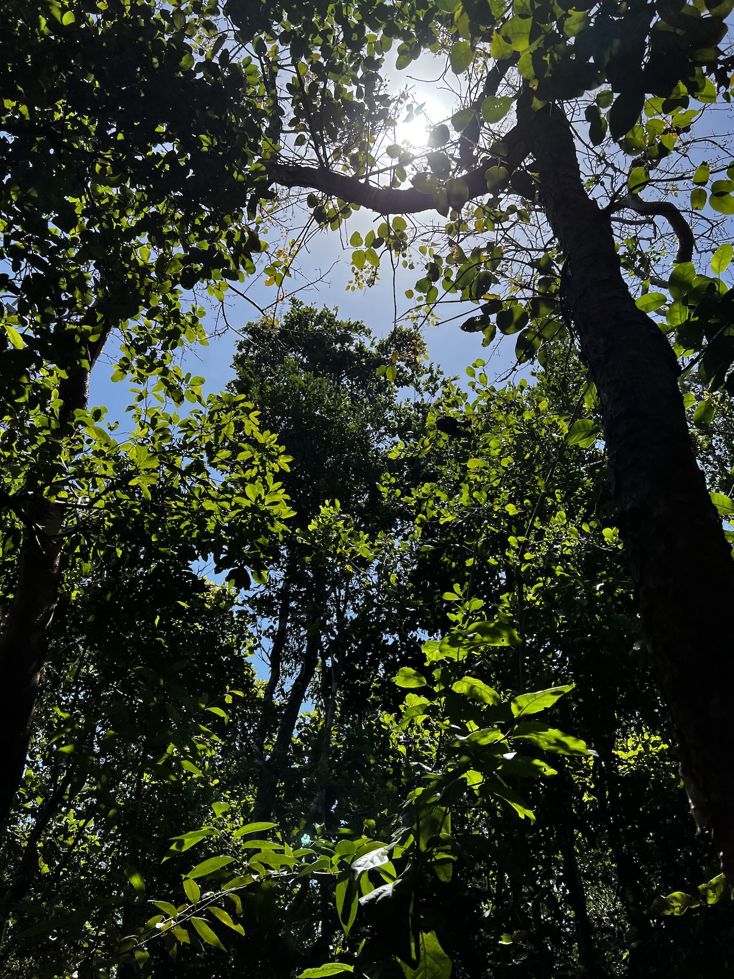 recommendation image