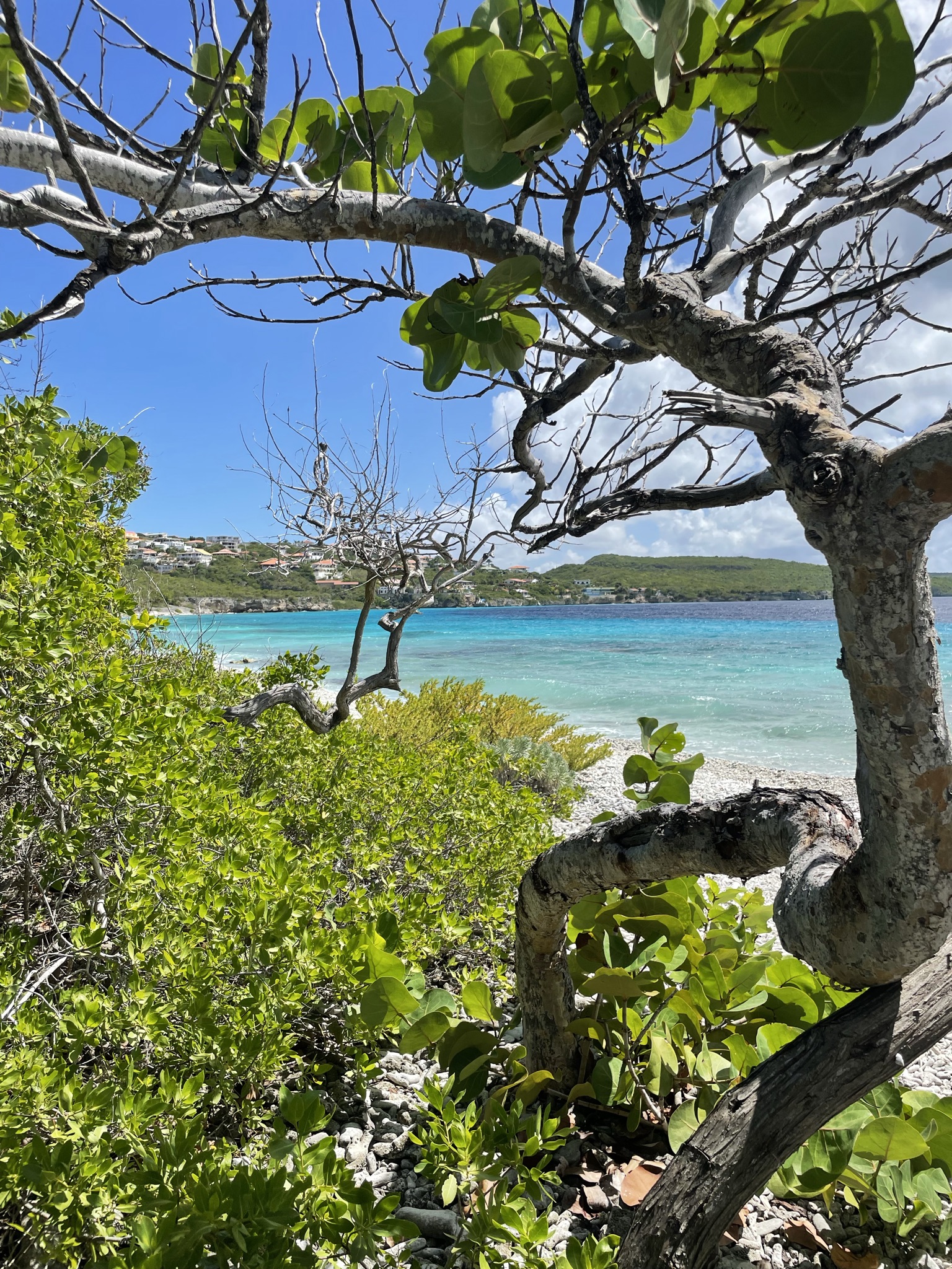 recommendation image