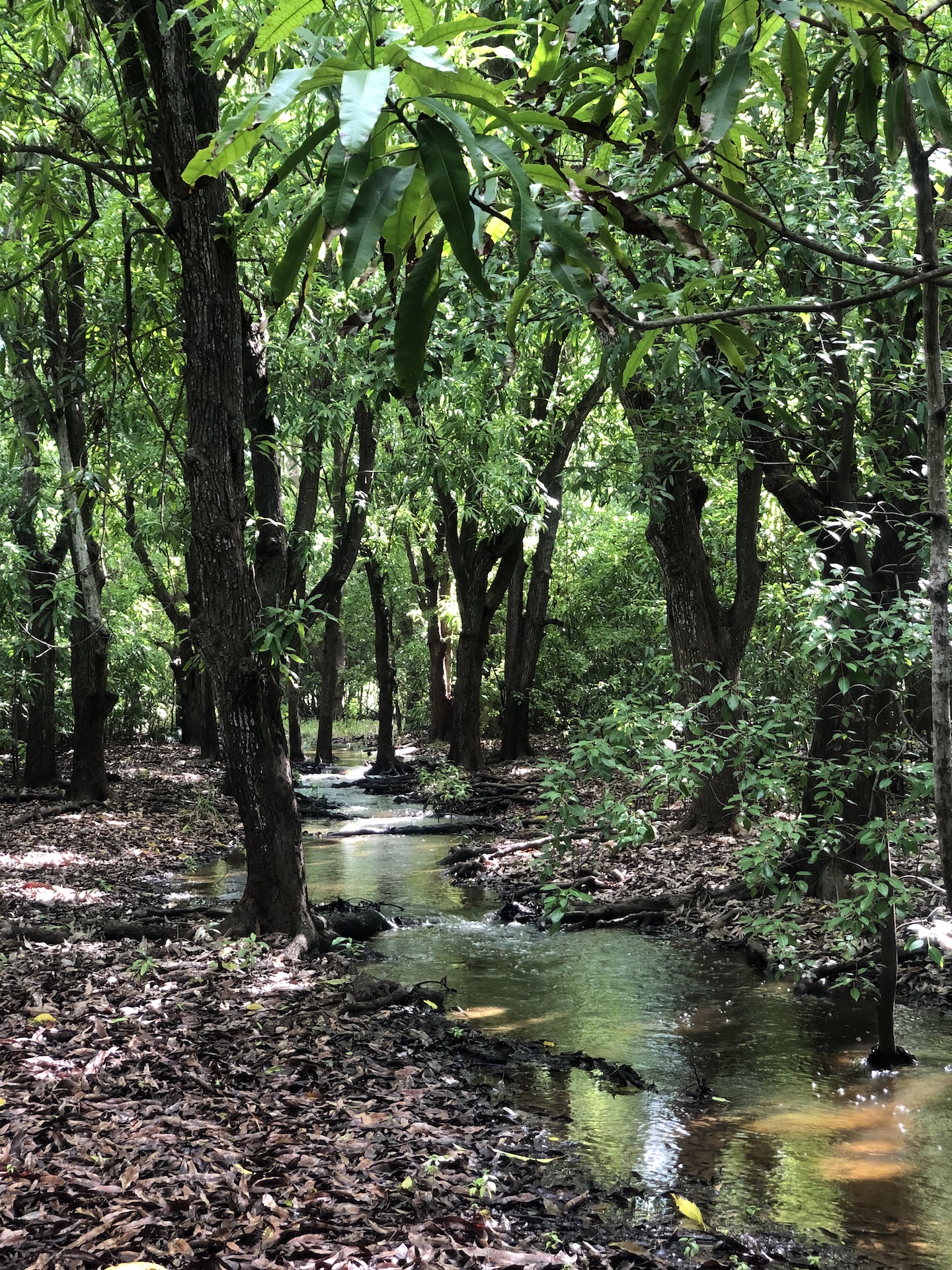 recommendation image