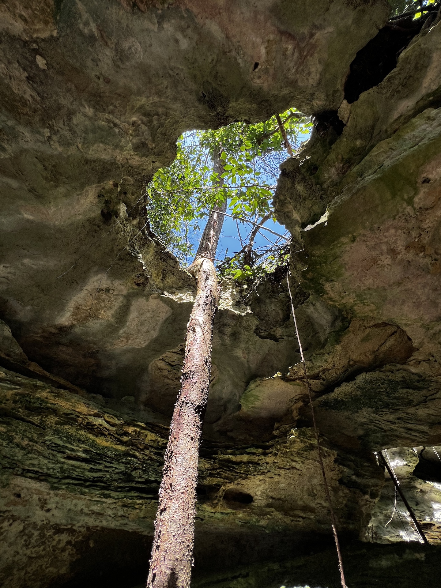 recommendation image