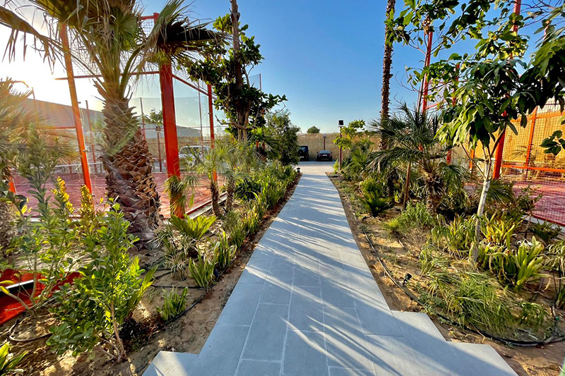 recommendation image