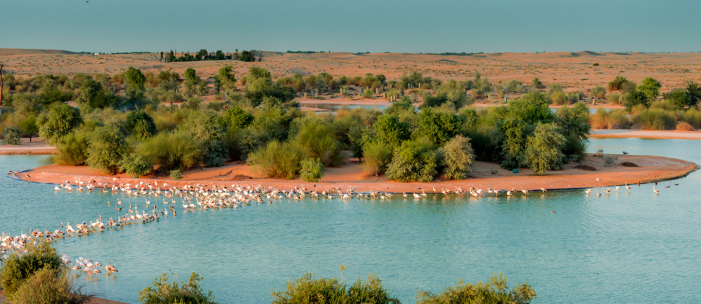 recommendation image